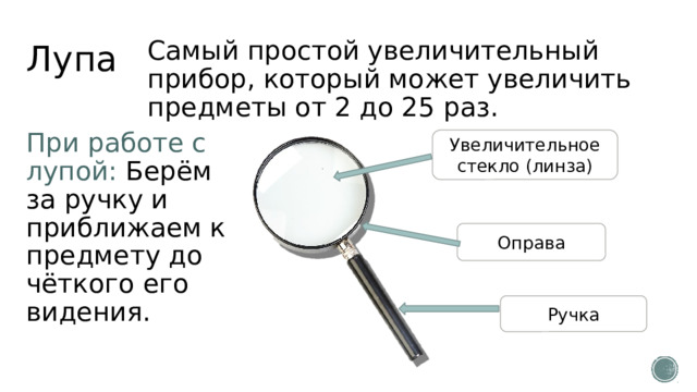 Лупа Самый простой увеличительный прибор, который может увеличить предметы от 2 до 25 раз. При работе с лупой: Берём за ручку и приближаем к предмету до чёткого его видения. Увеличительное стекло (линза) Оправа Ручка 