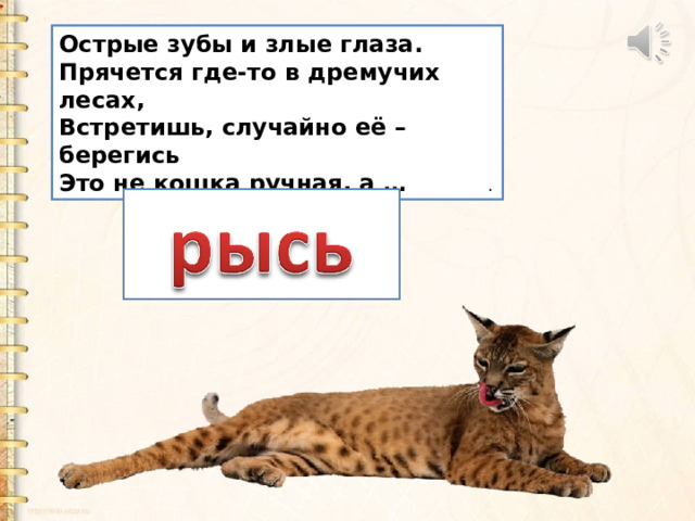 Острые зубы и злые глаза.  Прячется где-то в дремучих лесах,  Встретишь, случайно её – берегись  Это не кошка ручная, а … . 