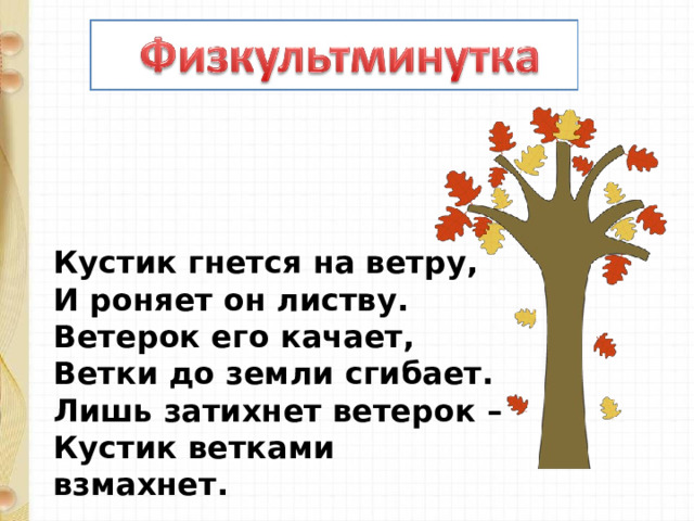 Кустик гнется на ветру,  И роняет он листву.  Ветерок его качает,  Ветки до земли сгибает.  Лишь затихнет ветерок –  Кустик ветками взмахнет. 