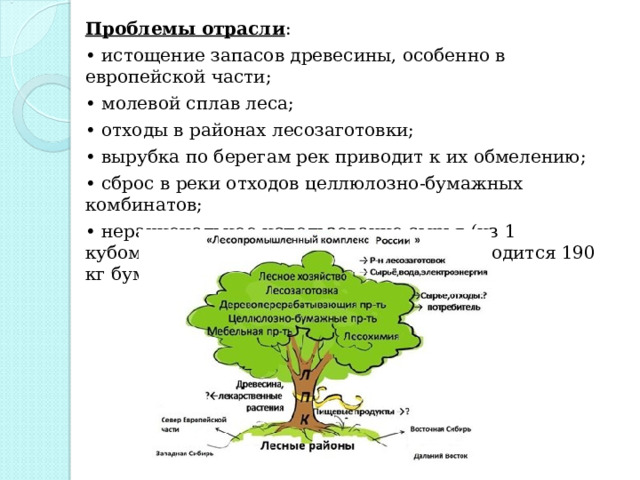 Проект сохранение лесов.