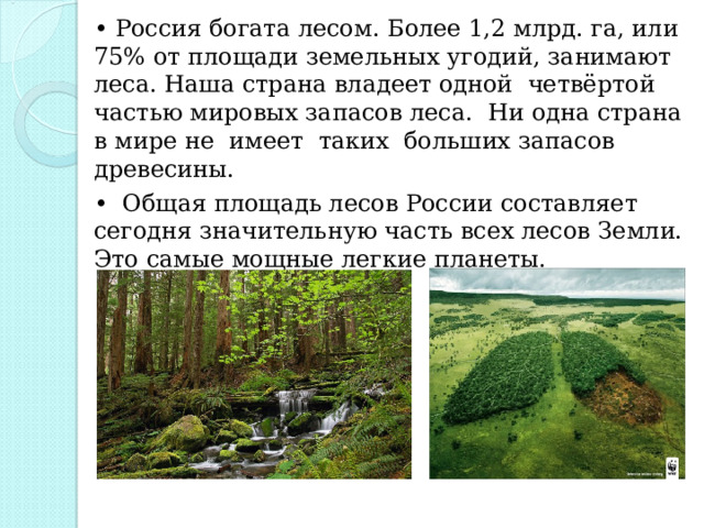 • Россия богата лесом. Более 1,2 млрд. га, или 75% от площади земельных угодий, занимают леса. Наша страна владеет одной четвёртой частью мировых запасов леса. Ни одна страна в мире не имеет таких больших запасов древесины. • Общая площадь лесов России составляет сегодня значительную часть всех лесов Земли. Это самые мощные легкие планеты. 