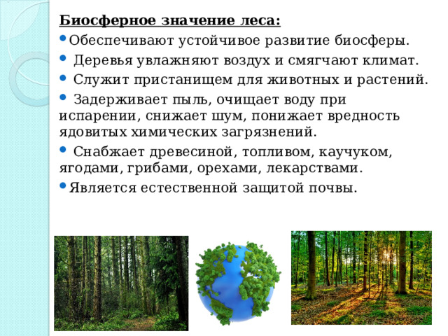 Биосферное значение леса: Обеспечивают устойчивое развитие биосферы.  Деревья увлажняют воздух и смягчают климат.  Служит пристанищем для животных и растений.  Задерживает пыль, очищает воду при испарении, снижает шум, понижает вредность ядовитых химических загрязнений.  Снабжает древесиной, топливом, каучуком, ягодами, грибами, орехами, лекарствами. Является естественной защитой почвы. 