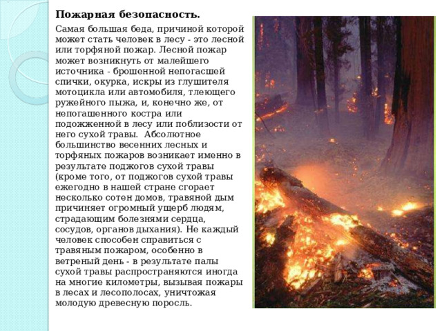 Пожарная безопасность.  Самая большая беда, причиной которой может стать человек в лесу - это лесной или торфяной пожар. Лесной пожар может возникнуть от малейшего источника - брошенной непогасшей спички, окурка, искры из глушителя мотоцикла или автомобиля, тлеющего ружейного пыжа, и, конечно же, от непогашенного костра или подожженной в лесу или поблизости от него сухой травы. Абсолютное большинство весенних лесных и торфяных пожаров возникает именно в результате поджогов сухой травы (кроме того, от поджогов сухой травы ежегодно в нашей стране сгорает несколько сотен домов, травяной дым причиняет огромный ущерб людям, страдающим болезнями сердца, сосудов, органов дыхания). Не каждый человек способен справиться с травяным пожаром, особенно в ветреный день - в результате палы сухой травы распространяются иногда на многие километры, вызывая пожары в лесах и лесополосах, уничтожая молодую древесную поросль. 