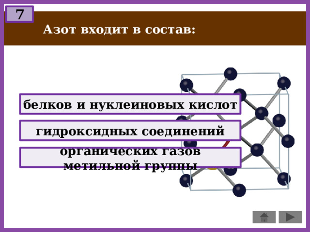 7 Азот входит в состав: белков и нуклеиновых кислот гидроксидных соединений органических газов метильной группы 