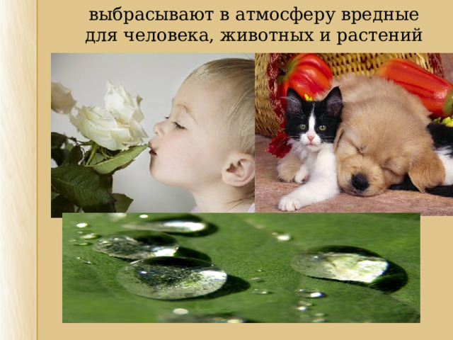 выбрасывают в атмосферу вредные для человека, животных и растений вещества. выбрасывают в атмосферу вредные для человека, животных и растений вещества. 
