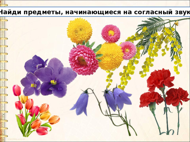 Найди предметы, начинающиеся на согласный звук. 