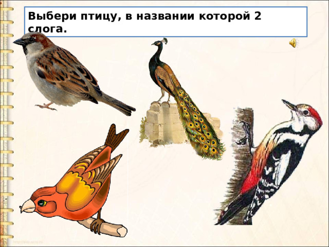 Выбери птицу, в названии которой 2 слога. 