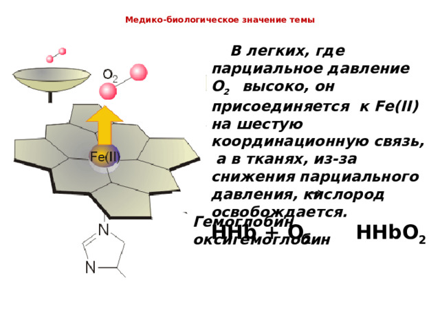  Медико-биологическое значение темы    В легких, где парциальное давление O 2 высоко, он присоединяется к Fe ( II ) на шестую координационную связь, а в тканях, из-за снижения парциального давления, кислород освобождается. HHb + O 2 HHbO 2 Гемоглобин оксигемоглобин  