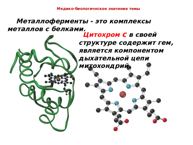  Медико-биологическое значение темы    Металлоферменты - это комплексы металлов с белками.  Цитохром с в своей структуре содержит гем, является компонентом дыхательной цепи митохондрий. 