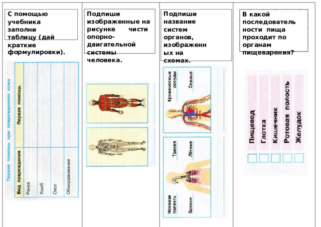 С помощью учебника  заполни  таблицу  (дай краткие  формулировки). Подпиши изображенные  на Подпиши  название  систем  органов, изображенных  на  схемах.  Укажи рисунке чисти опорно-  двигательной системы  человека. В  какой п оследов а тельности пища проходит по  органам  пищеварения? стрелками  органы  на  каждой схеме. @marinagorbunova1807 