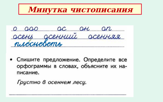 Минутка чистописания 
