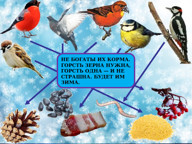 НЕ БОГАТЫ ИХ КОРМА.  ГОРСТЬ ЗЕРНА НУЖНА,  ГОРСТЬ ОДНА — И НЕ СТРАШНА. БУДЕТ ИМ ЗИМА. 