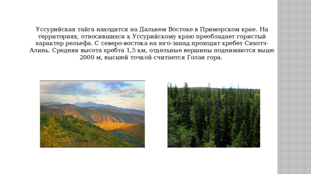 Уссурийская тайга находится на Дальнем Востоке в Приморском крае. На территориях, относившихся к Уссурийскому краю преобладает гористый характер рельефа. С северо-востока на юго-запад проходит хребет Сихотэ-Алинь. Средняя высота хребта 1,5 км, отдельные вершины поднимаются выше 2000 м, высшей точкой считается Голая гора. 