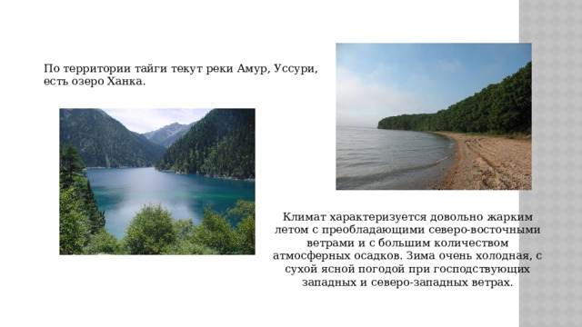 По территории тайги текут реки Амур, Уссури, есть озеро Ханка. Климат характеризуется довольно жарким летом с преобладающими северо-восточными ветрами и с большим количеством атмосферных осадков. Зима очень холодная, с сухой ясной погодой при господствующих западных и северо-западных ветрах. 