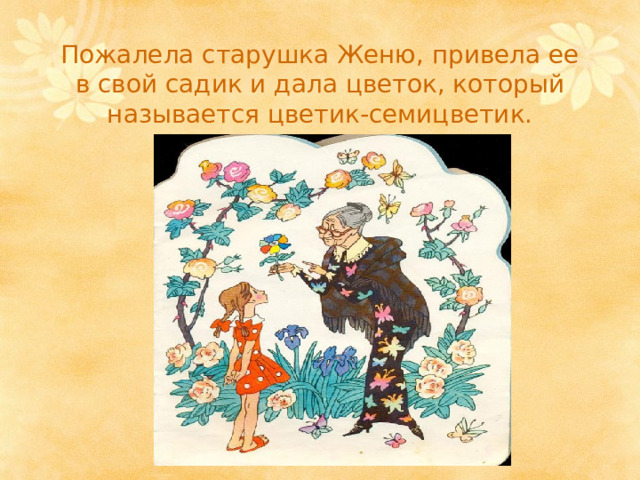 Пожалела старушка Женю, привела ее в свой садик и дала цветок, который называется цветик-семицветик. 