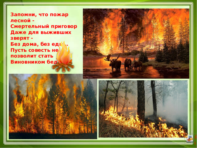Запомни, что пожар лесной -   Смертельный приговор  Даже для выживших зверят -   Без дома, без еды…  Пусть совесть не позволит стать  Виновником беды! 