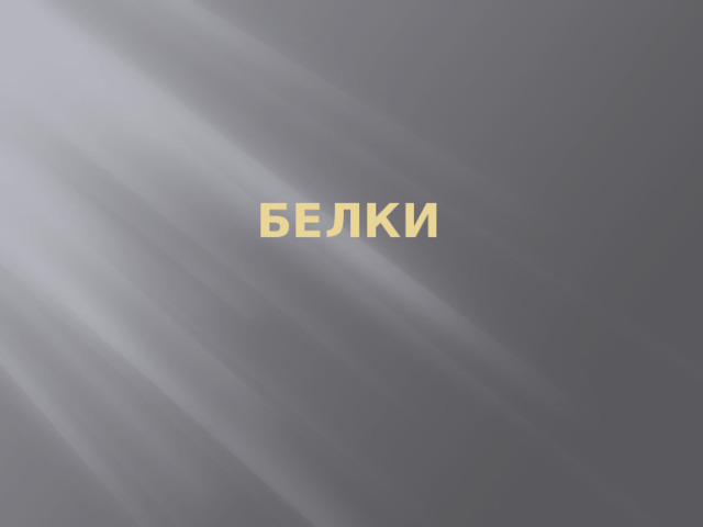 Белки 