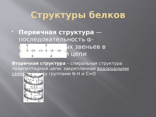 Структуры белков Первичная структура  — последовательность α-аминокислотных звеньев в полипептидной цепи Вторичная структура  – спиральная структура полипептидной цепи, закрепленная  водородными связями  между группами N-H и С=О 