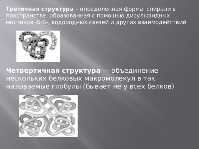 Третичная структура  – определенная форма  спирали в пространстве, образованная с помощью дисульфидных мостиков -S-S-, водородных связей и других взаимодействий Четвертичная структура  — объединение нескольких белковых макромолекул в так называемые глобулы (бывает не у всех белков) 