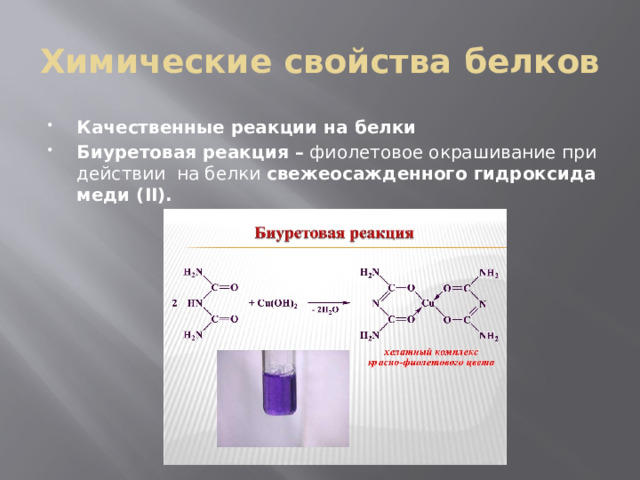 Крахмал реагирует с гидроксидом меди. Биуретовая реакция схема. Биуретовая качественная реакция на белок. Качественная реакция на белки биуретовая. Биуретовая реакция белков реакция.