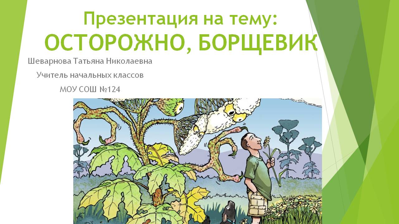 Урок окружающего мира во 2 классе: «Осторожно, Борщевик!»