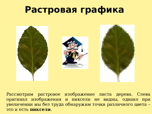 Растровая графика Рассмотрим растровое изображение листа дерева. Слева оригинал изображения и пиксели не видны, однако при увеличении мы без труда обнаружим точки различного цвета – это и есть пиксели . 