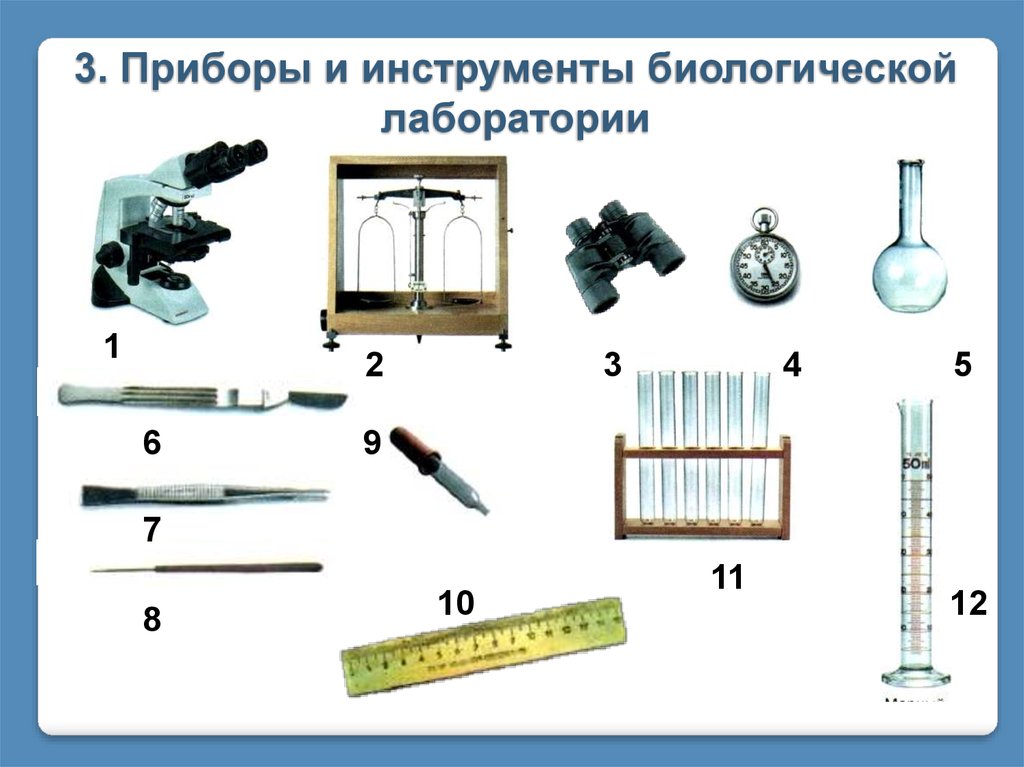 Изображенное на рисунке лабораторное оборудование в биологии используется для нагрева биологического