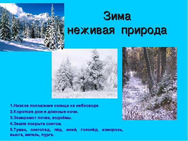 Подготовка к сочинению на тему "Зима" в 5 классе