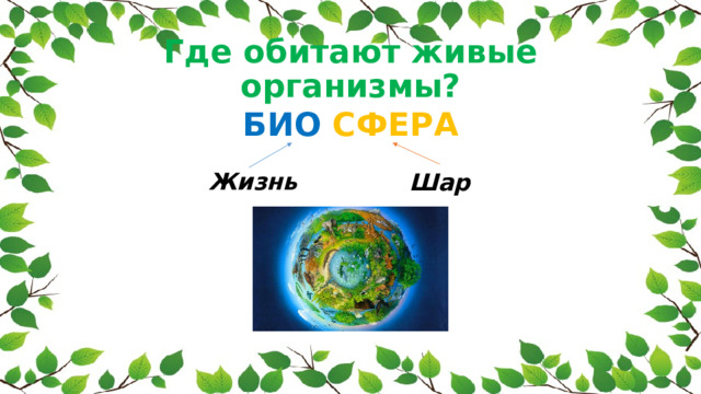 Биология наука о живой природе 5 класс