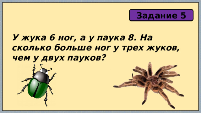 Задание 5 У жука 6 ног, а у паука 8. На сколько больше ног у трех жуков, чем у двух пауков? 