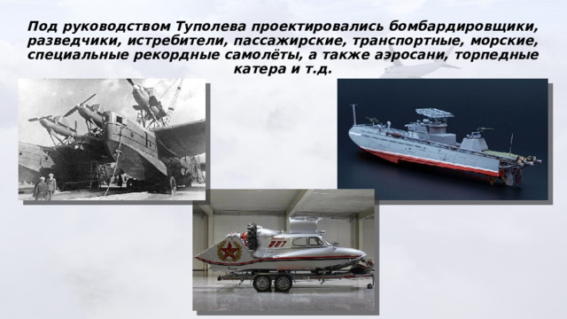 Под руководством Туполева проектировались бомбардировщики, разведчики, истребители, пассажирские, транспортные, морские, специальные рекордные самолёты, а также аэросани, торпедные катера и т.д. 