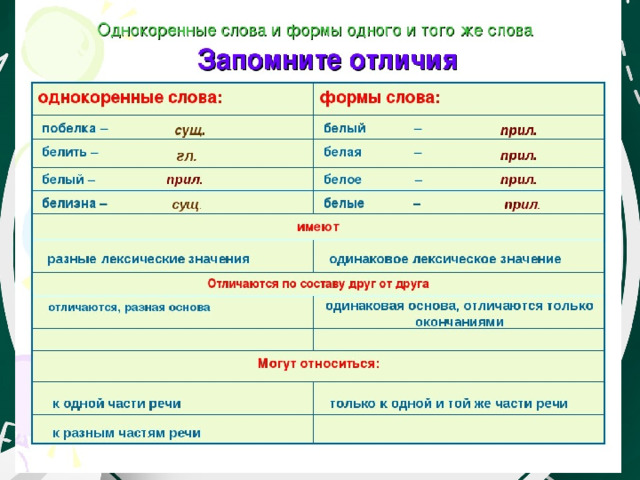 Однокоренные и формы слова. Формы слова примеры.