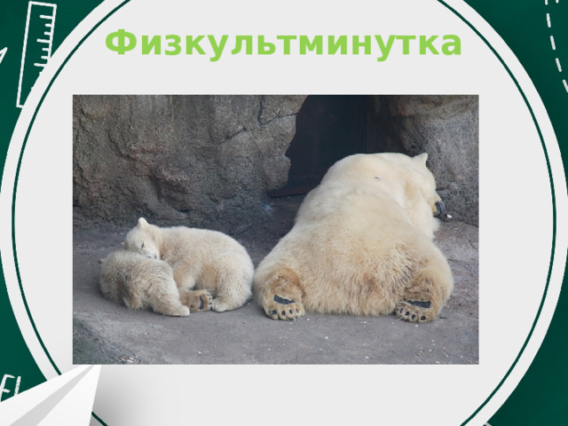 Физкультминутка   