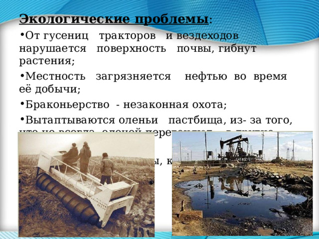 Экологические проблемы : От гусениц тракторов и вездеходов нарушается поверхность почвы, гибнут растения; Местность загрязняется нефтью во время её добычи; Браконьерство - незаконная охота; Вытаптываются оленьи пастбища, из- за того, что не всегда оленей перегоняют в другие места; Строятся газопроводы, которые путают оленей. 
