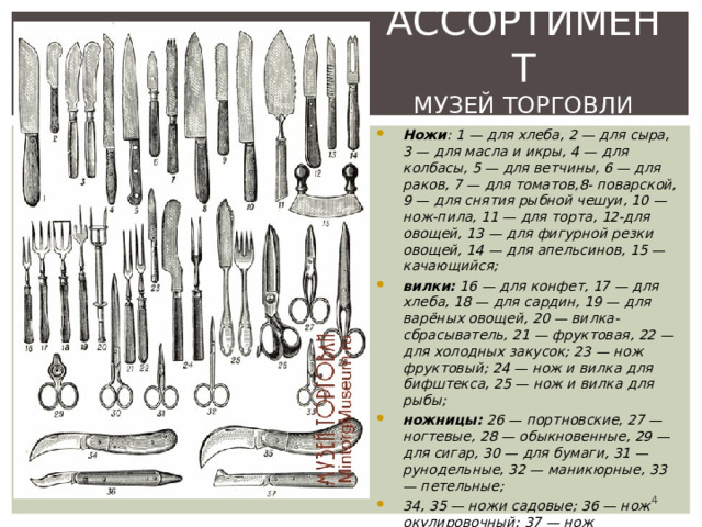 АССОРТИМЕНТ  МУЗЕЙ ТОРГОВЛИ Ножи : 1 — для хлеба, 2 — для сыра, 3 — для масла и икры, 4 — для колбасы, 5 — для ветчины, 6 — для раков, 7 — для томатов,8- поварской, 9 — для снятия рыбной чешуи, 10 — нож-пила, 11 — для торта, 12-для овощей, 13 — для фигурной резки овощей, 14 — для апельсинов, 15 — качающийся; вилки: 16 — для конфет, 17 — для хлеба, 18 — для сардин, 19 — для варёных овощей, 20 — вилка-сбрасыватель, 21 — фруктовая, 22 — для холодных закусок; 23 — нож фруктовый; 24 — нож и вилка для бифштекса, 25 — нож и вилка для рыбы; ножницы: 26 — портновские, 27 — ногтевые, 28 — обыкновенные, 29 — для сигар, 30 — для бумаги, 31 — рунодельные, 32 — маникюрные, 33 — петельные; 34, 35 — ножи садовые; 36 — нож окулировочный; 37 — нож прививочный.   