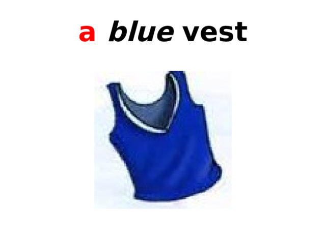 a  blue vest 