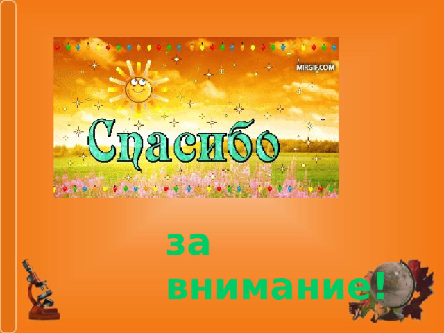 за внимание! 