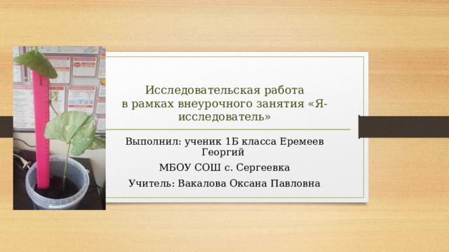 Исследовательская работа  в рамках внеурочного занятия «Я- исследователь» Выполнил: ученик 1Б класса Еремеев Георгий МБОУ СОШ с. Сергеевка Учитель: Вакалова Оксана Павловна 