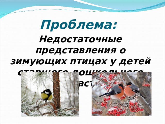 Проблема: Недостаточные представления о зимующих птицах у детей старшего дошкольного возраста.  