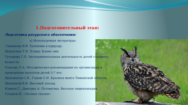  1.Подготовительный этап :  Подготовка ресурсного обеспечения:   а) Используемая литература:  Смирнова В.В. Тропинка в природу.  Шорыгина Т.В. Птицы. Какие они.  Тугушева Г.П. Экспериментальная деятельность детей старшего возраста.  Уланова Л.А. Методические рекомендации по организации и  проведению прогулок детей 3-7 лет.  Шаповалов С.И., Гашев С.Н. Красная книга Тюменской области.  Щенников В.И. Веселый зоосад.  Юрмин Г., Дмитрих А. Потомучка. Веселая энциклопедия.   Сладков Н. «Лесные сказки»   
