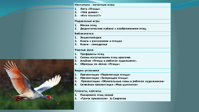 Настольно – печатные игры Лото «Птицы» «Чей домик» «Кто что ест?» Подвижные игры Маски птиц Дидактические кубики с изображением птиц. Библиотечка Энциклопедии Книги с рассказами о птицах Книги - самоделки Умелые руки Трафареты птиц Схемы изготовления птиц оригами. Альбом «Птицы в работах художника». Образцы по лепке «Птицы» Видео установка Презентация «Перелетные птицы» Презентация «Зимующие птицы»  Презентация «Обаятельные совы в работах художников» Семейная презентация «Мои цыплятки» Плакаты, картины Покормите птиц зимой «Грачи прилетели» А.Саврасов 