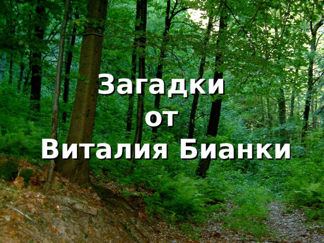 Загадки от Виталия Бианки 