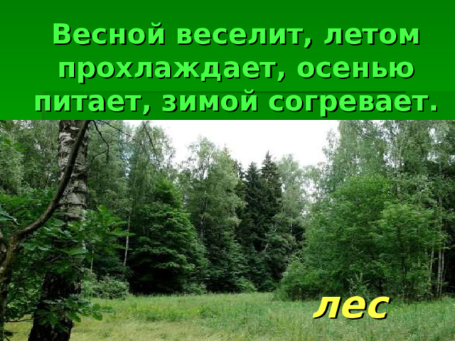 Весной веселит, летом прохлаждает, осенью питает, зимой согревает. лес 