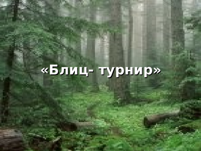 «Блиц- турнир» «Блиц- турнир» 