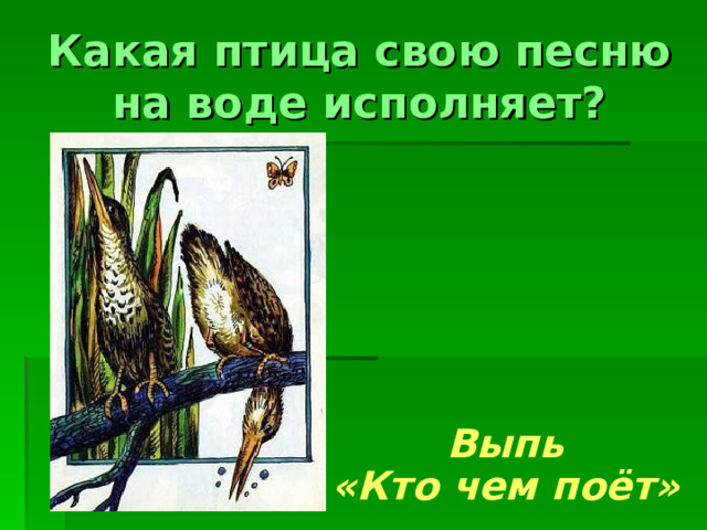 Какая птица свою песню на воде исполняет? Выпь «Кто чем поёт» 