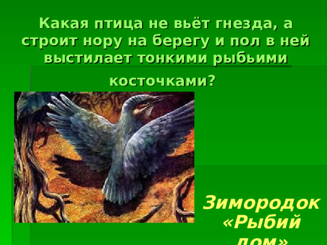 Какая птица не вьёт гнезда, а строит нору на берегу и пол в ней выстилает тонкими рыбьими косточками?  Зимородок «Рыбий дом»  