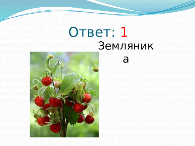 Ответ: 1 Земляника 