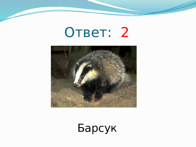 Ответ: 2 Барсук 