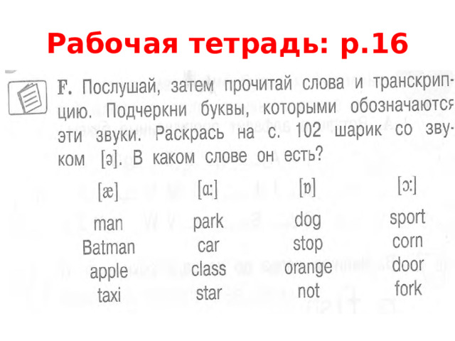 Рабочая тетрадь: p.16 