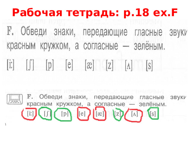 Рабочая тетрадь: p.18 ex.F 